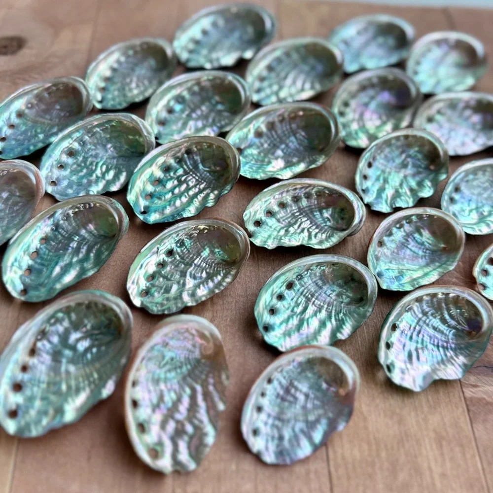Real ABALONE Shells Polished Nautical DIY Crafting Decor Coastal Mixed Bulk lot